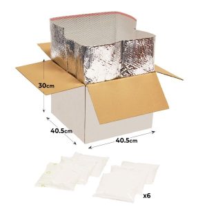 insulated delivery box